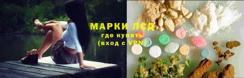 Купить наркотики Каргополь Cocaine  Меф мяу мяу  Псилоцибиновые грибы  Марихуана  ГАШ 